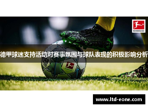 德甲球迷支持活动对赛事氛围与球队表现的积极影响分析