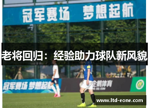 老将回归：经验助力球队新风貌