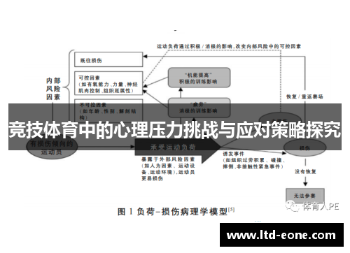 竞技体育中的心理压力挑战与应对策略探究
