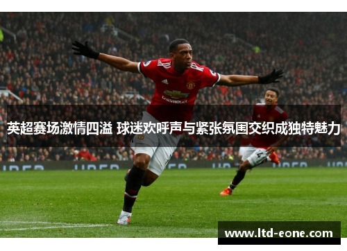 英超赛场激情四溢 球迷欢呼声与紧张氛围交织成独特魅力