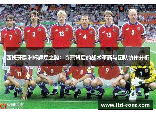 西班牙欧洲杯辉煌之路：夺冠背后的战术革新与团队协作分析
