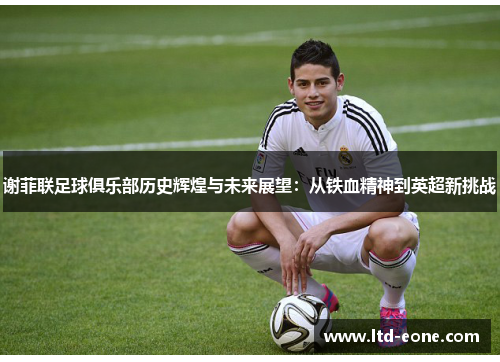 谢菲联足球俱乐部历史辉煌与未来展望：从铁血精神到英超新挑战