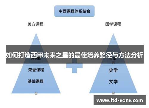 如何打造西甲未来之星的最佳培养路径与方法分析