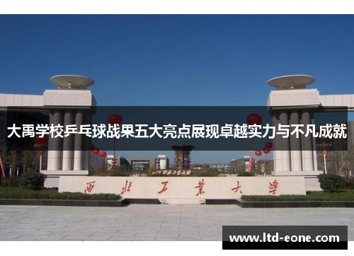 大禹学校乒乓球战果五大亮点展现卓越实力与不凡成就