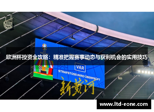 欧洲杯投资全攻略：精准把握赛事动态与获利机会的实用技巧