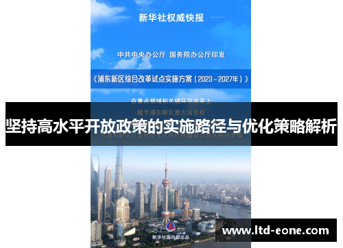 坚持高水平开放政策的实施路径与优化策略解析