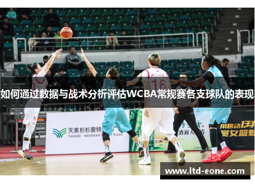 如何通过数据与战术分析评估WCBA常规赛各支球队的表现