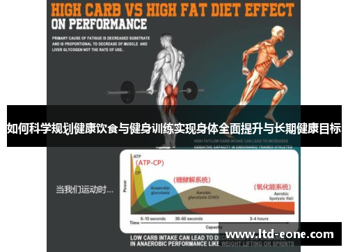如何科学规划健康饮食与健身训练实现身体全面提升与长期健康目标