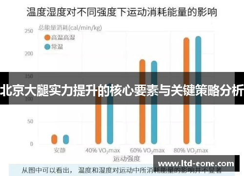 北京大腿实力提升的核心要素与关键策略分析