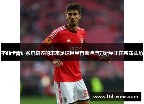 本菲卡青训系统培养的未来足球巨星有哪些潜力新星正在崭露头角
