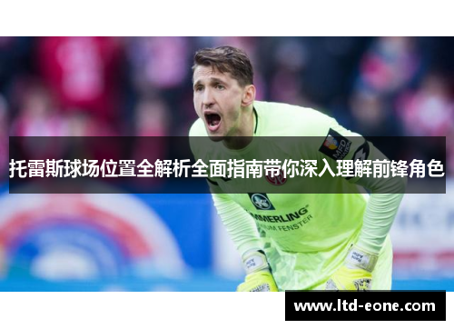 托雷斯球场位置全解析全面指南带你深入理解前锋角色