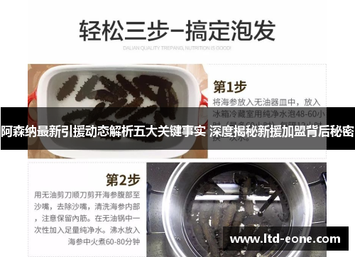 阿森纳最新引援动态解析五大关键事实 深度揭秘新援加盟背后秘密