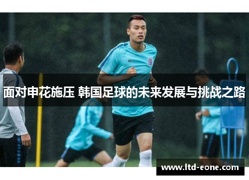 面对申花施压 韩国足球的未来发展与挑战之路