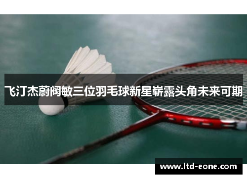 飞汀杰蔚阀敏三位羽毛球新星崭露头角未来可期
