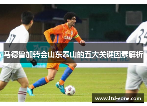 马德鲁加转会山东泰山的五大关键因素解析