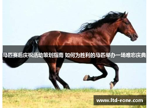 马匹赛后庆祝活动策划指南 如何为胜利的马匹举办一场难忘庆典