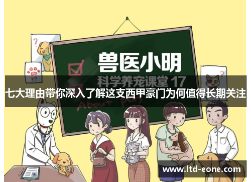 七大理由带你深入了解这支西甲豪门为何值得长期关注