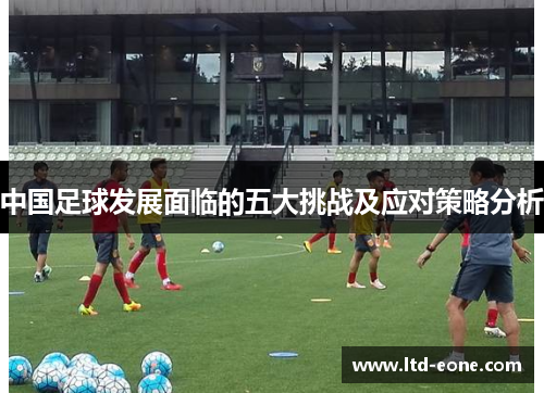 中国足球发展面临的五大挑战及应对策略分析