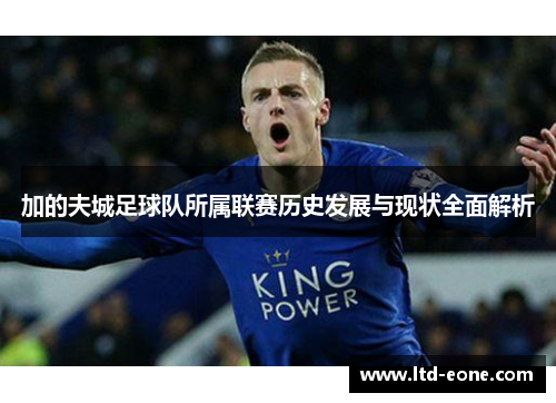加的夫城足球队所属联赛历史发展与现状全面解析