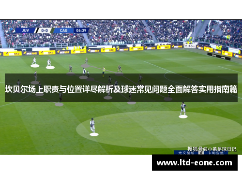 坎贝尔场上职责与位置详尽解析及球迷常见问题全面解答实用指南篇