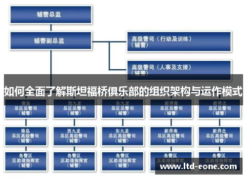 如何全面了解斯坦福桥俱乐部的组织架构与运作模式