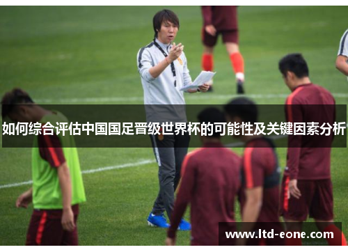 如何综合评估中国国足晋级世界杯的可能性及关键因素分析