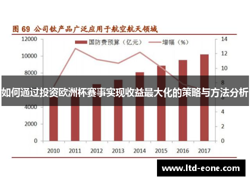 如何通过投资欧洲杯赛事实现收益最大化的策略与方法分析