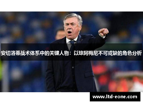 安切洛蒂战术体系中的关键人物：以琼阿梅尼不可或缺的角色分析