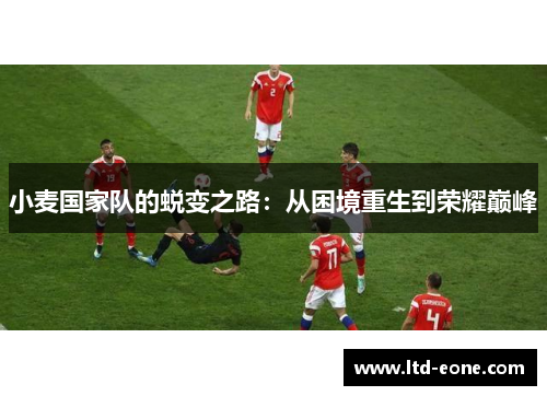 小麦国家队的蜕变之路：从困境重生到荣耀巅峰