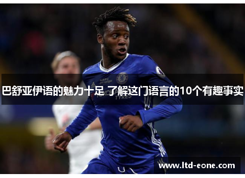 巴舒亚伊语的魅力十足 了解这门语言的10个有趣事实