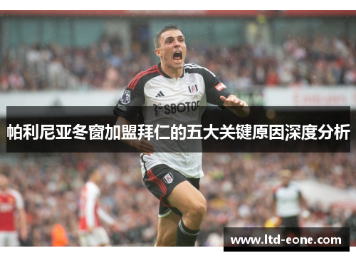 帕利尼亚冬窗加盟拜仁的五大关键原因深度分析