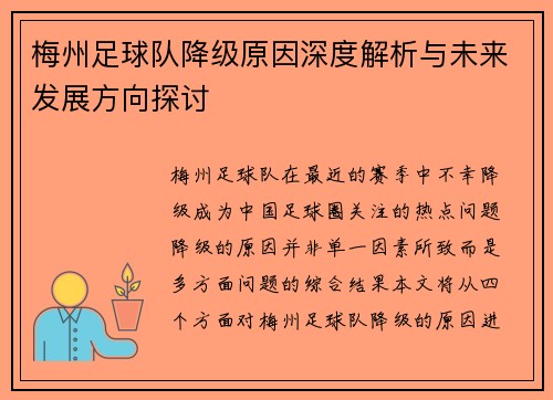 梅州足球队降级原因深度解析与未来发展方向探讨
